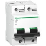 Schneider A9N18458 | C120H - circuit breaker - 2P - 100A - C curve